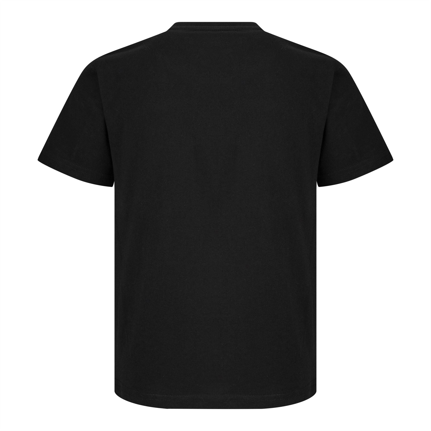 Minecraft | EnderDragon | Kids | Black T-Shirt | 5-6YR