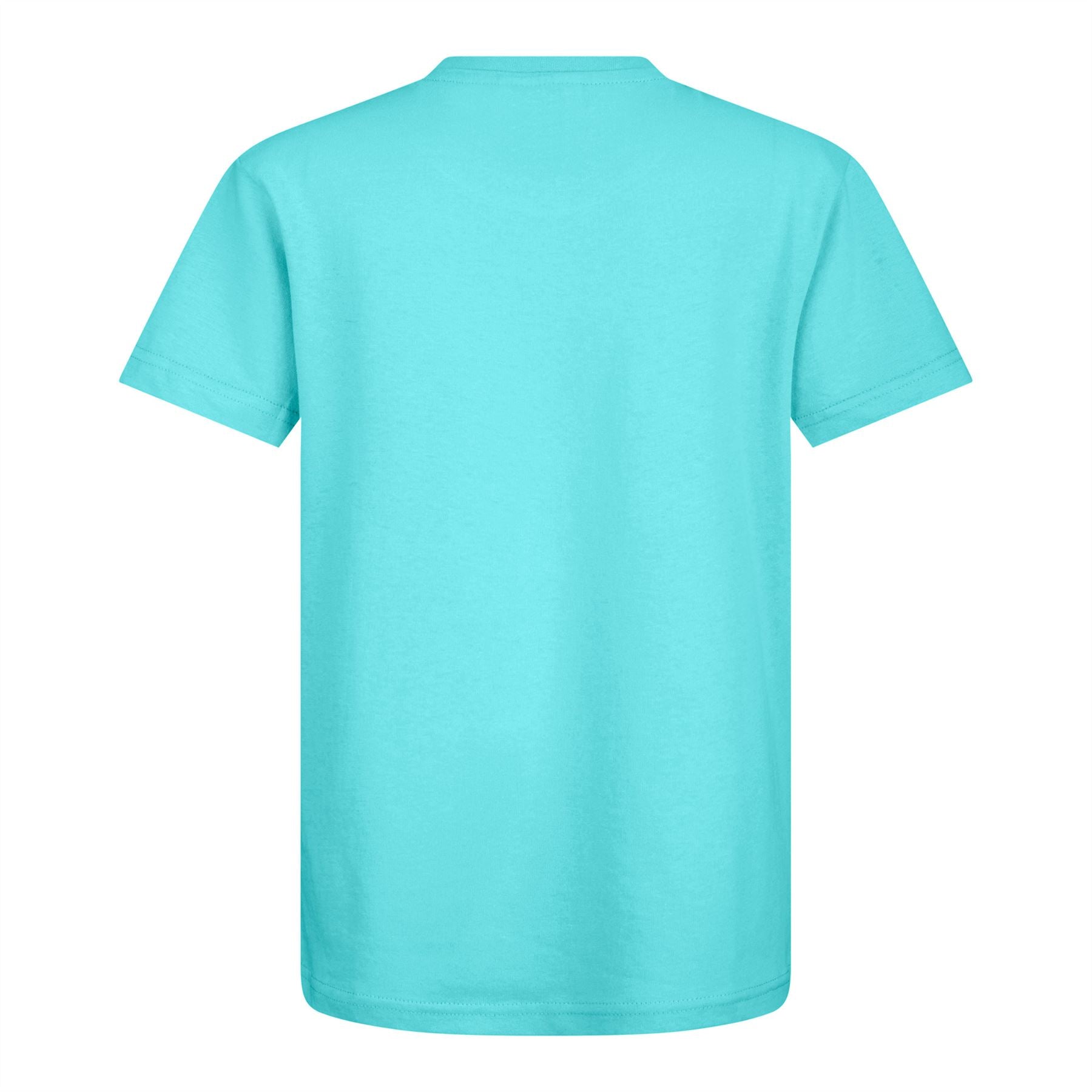 FORTNITE | ALPACA | Blue | Short Sleeved | Unisex Kids | Crew | Gaming Cotton T-Shirt Sizes 7 - 14 Years