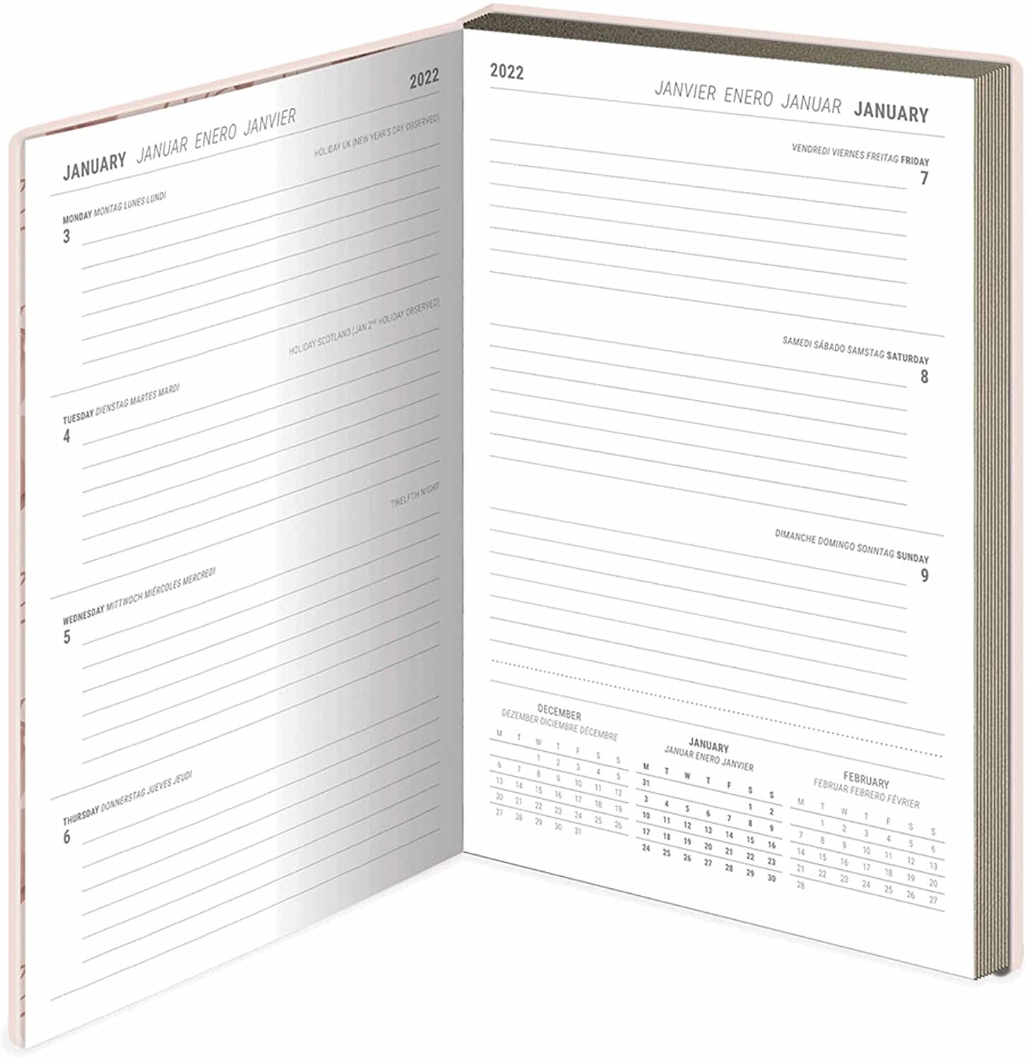 Pyramid International, Minnie Mouse 2022 Annual Planner