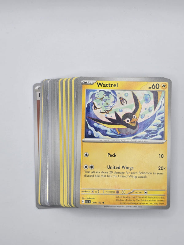 Pokémon Bundle of 50 Pokemon Cards