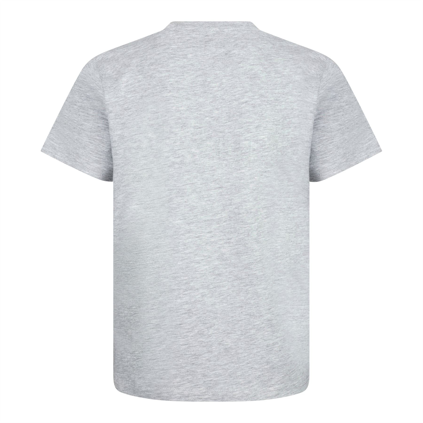 FORTNITE | Toys & Gamers | RAGNAROK | Grey | Short Sleeved | Unisex Kids | Crew | Gaming Cotton T-Shirt Sizes 10 - 16 Years